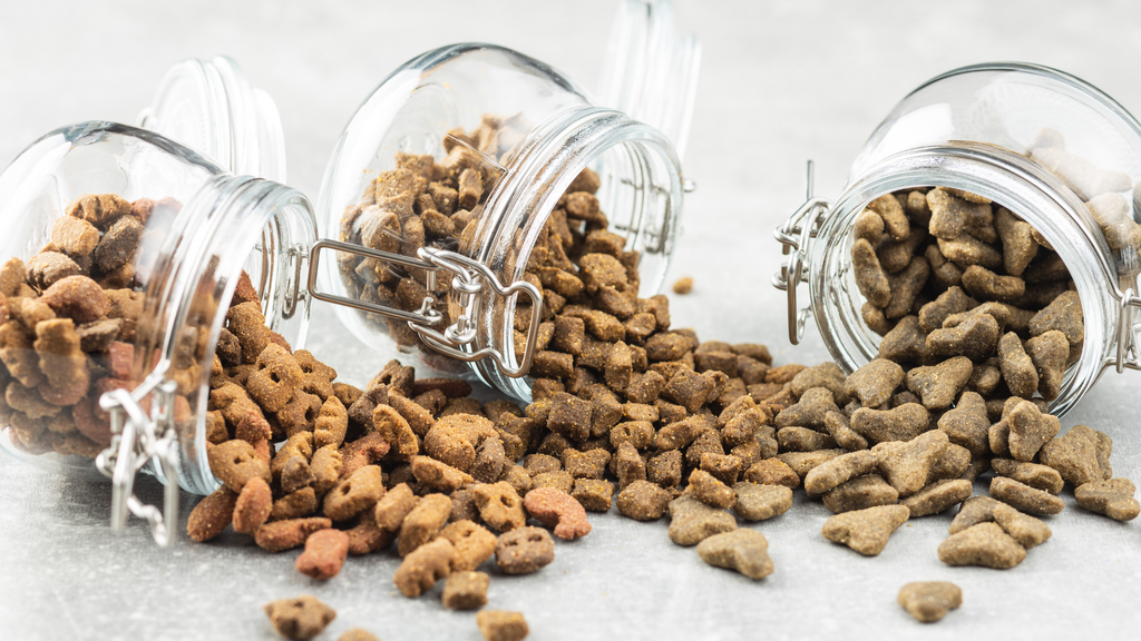 Dog Food Brands to Buy Vs. Avoid