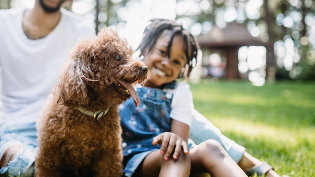 How To Tell Your Dog Likes You