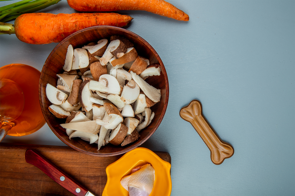 Can Dogs Eat Mushrooms? The Fungus Among Us