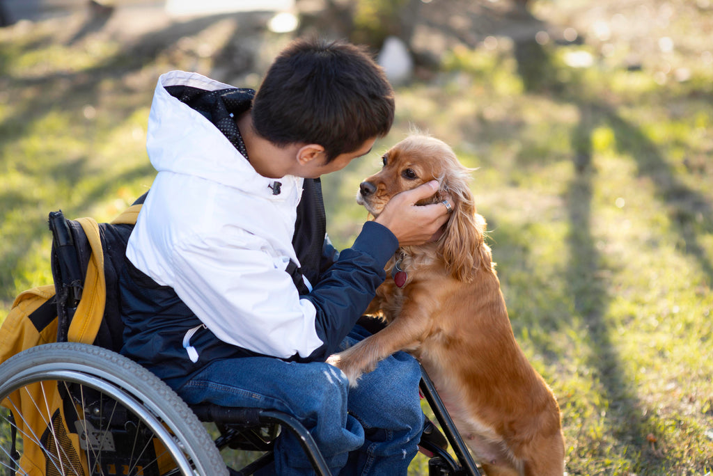 Celebrating  Dog's Impact on Mental Health