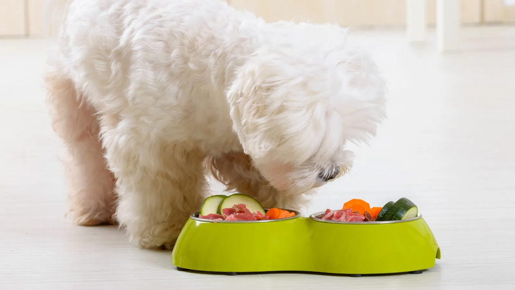 7 Fun Ways to Add Veggies to Your Dog’s Diet!