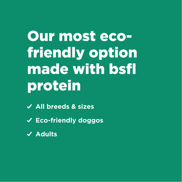 8kg of Kibble That Counts - Eco-Woofer BSFL and Superfood Extras