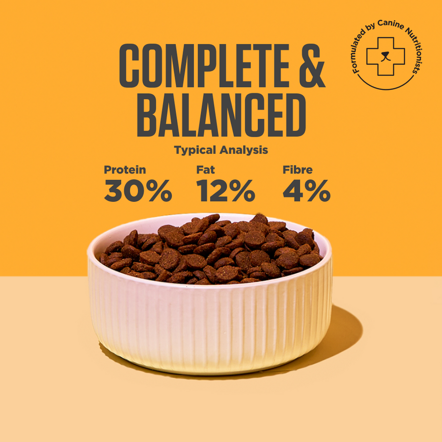 Nutritional breakdown of Kibble That Counts (Chicken & Turkey Flavor)