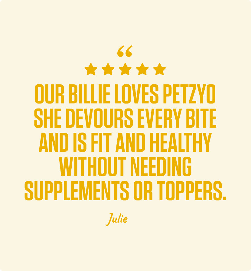 4kg of Kibble That Counts - Chicken and Turkey with Superfood Extras