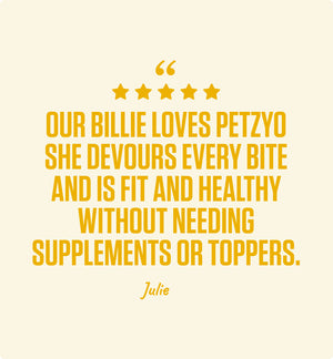 4kg of Kibble That Counts - Chicken and Turkey with Superfood Extras