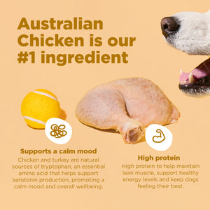 16kg of Kibble That Counts - Chicken and Turkey with Superfood Extras