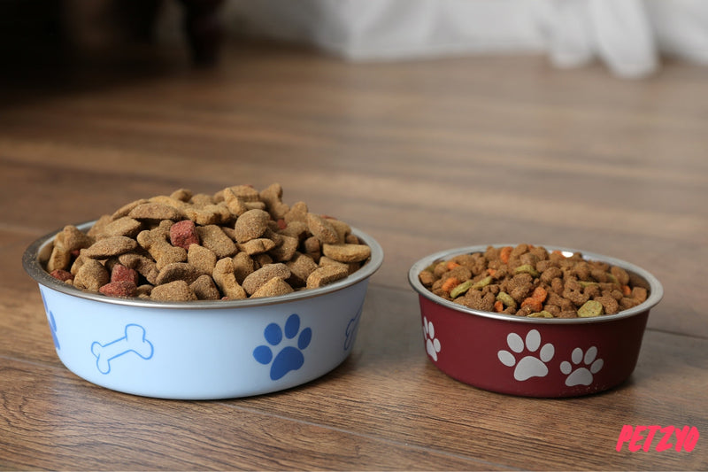 Two bowls of dry dog food on a wooden surface