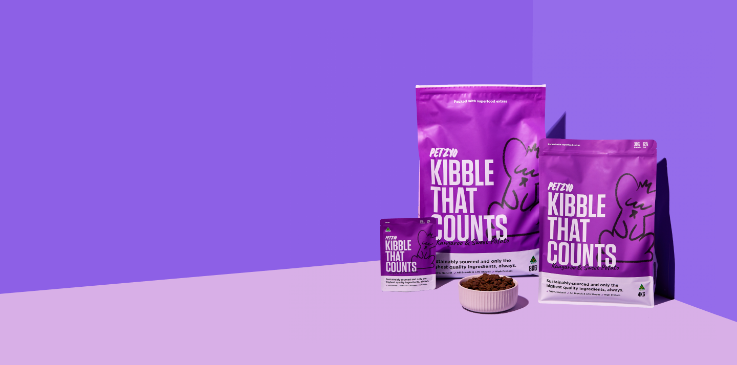 Premium Dry Dog Food Dogs Thrive On