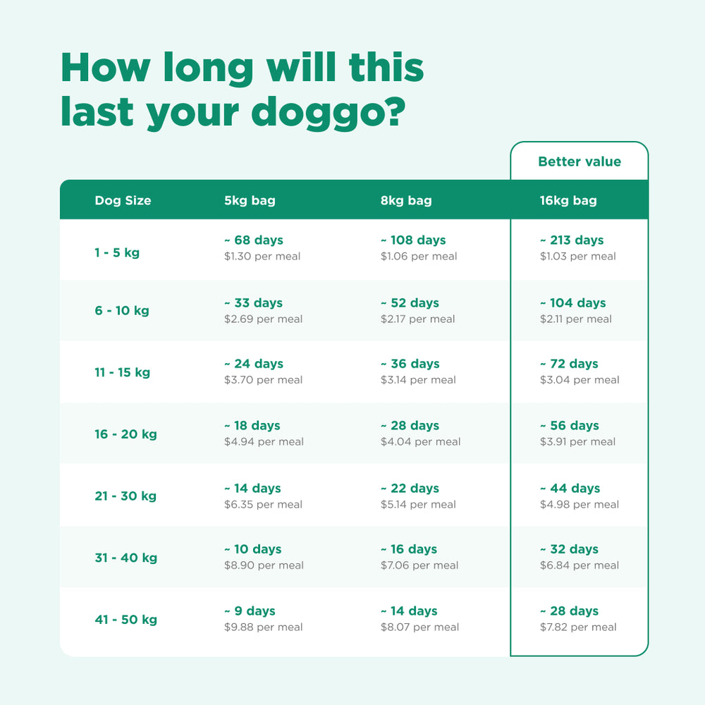 16kg of Kibble That Counts - Eco-Woofer BSFL and Superfood Extras