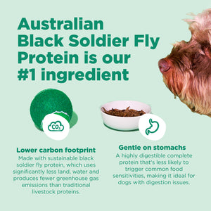 16kg of Kibble That Counts - Eco-Woofer BSFL and Superfood Extras