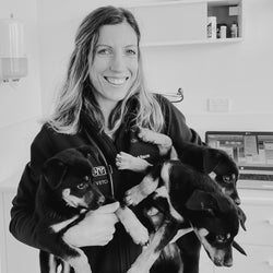 Dr. Alison Simmons BSc, DVM