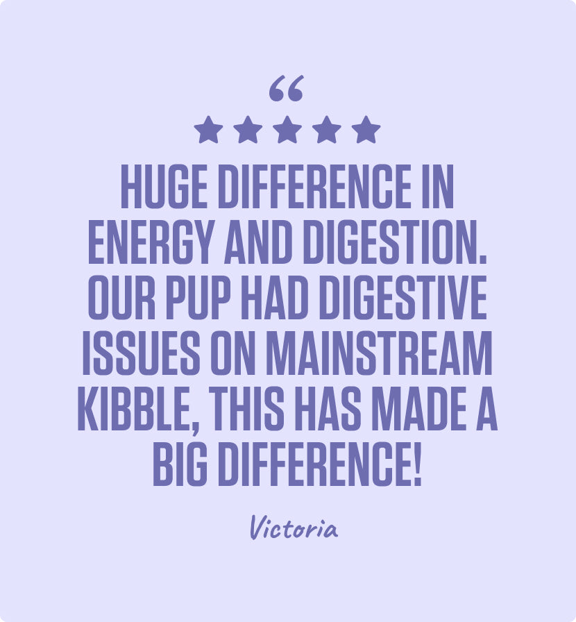8kg of Kibble That Counts - Kangaroo, Sweet Potato and Superfood Extras