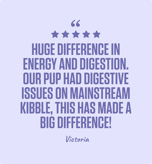 8kg of Kibble That Counts - Kangaroo, Sweet Potato and Superfood Extras