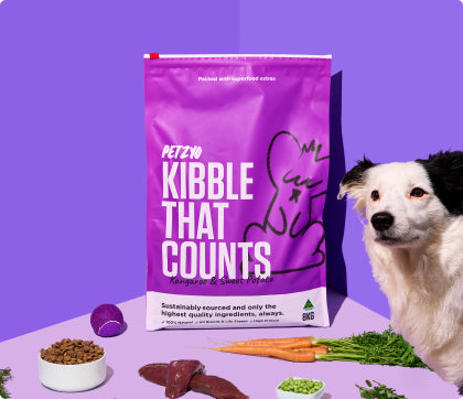 Can Dogs Eat Grapes? What Pet Parents Need to Know | Petzyo