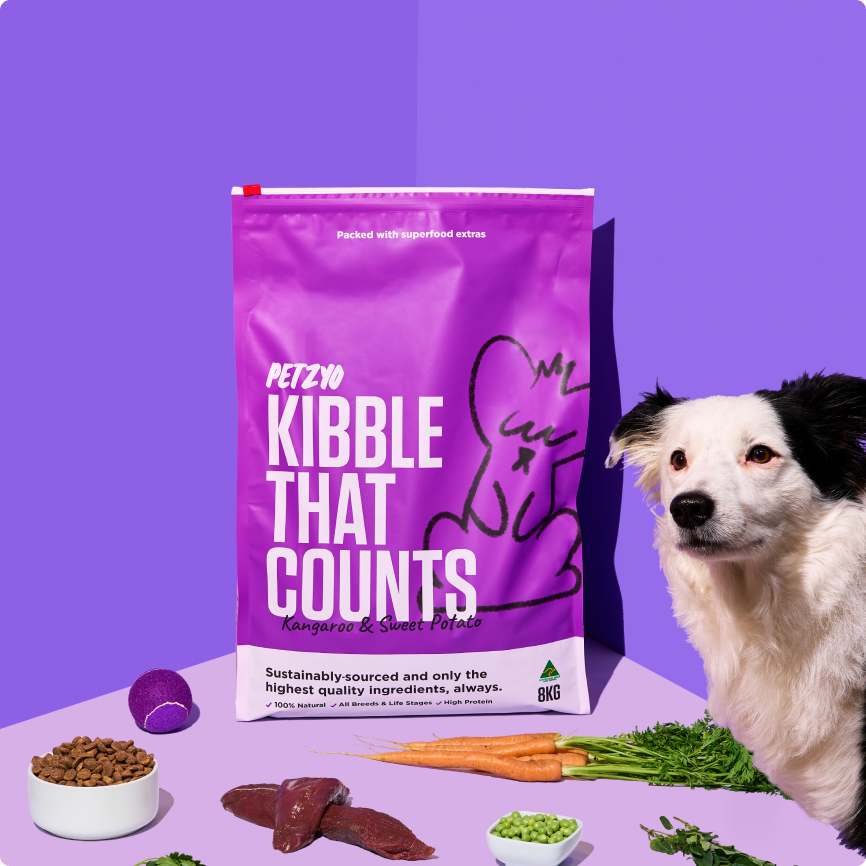 Black and white colored dog infront of a bag of Kibble That Counts