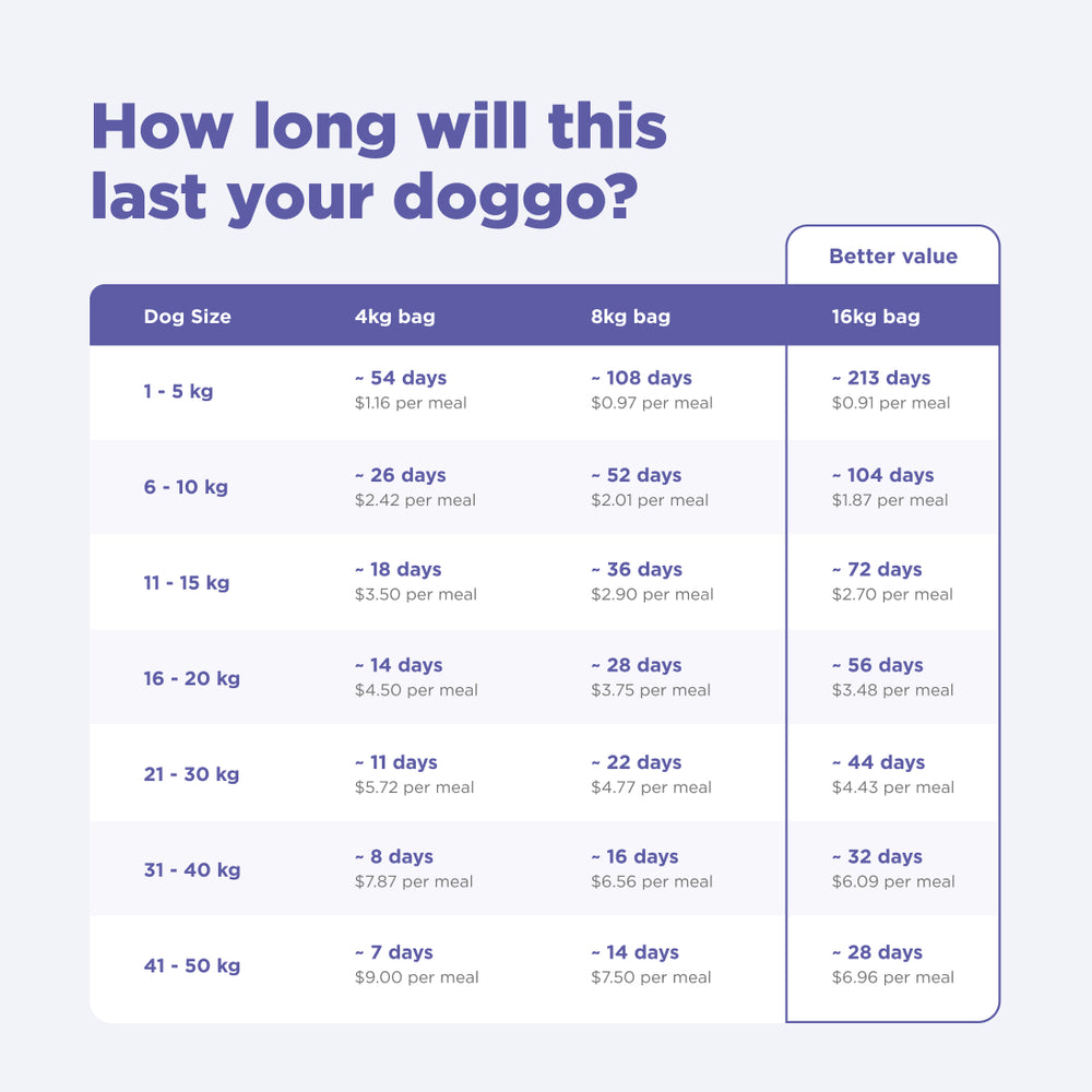 4kg of Kibble That Counts - Kangaroo, Sweet Potato and Superfood Extras