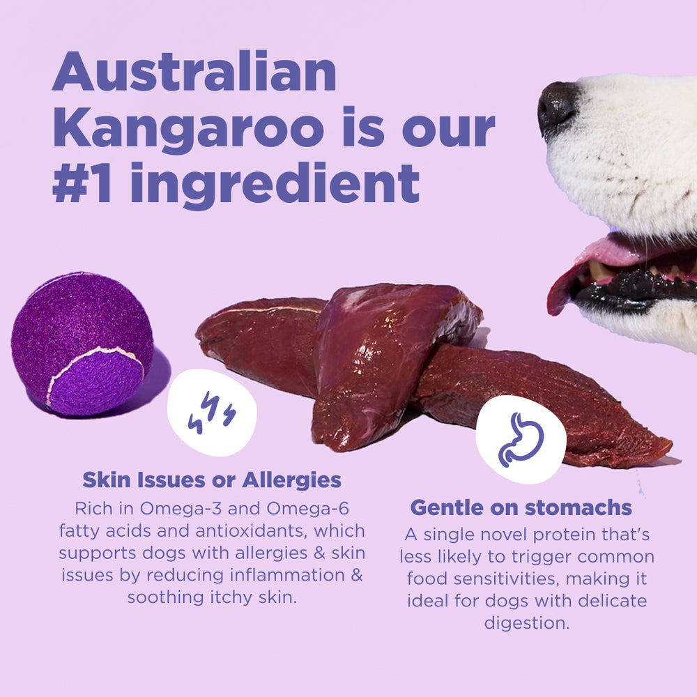 4kg of Kibble That Counts - Kangaroo, Sweet Potato and Superfood Extras