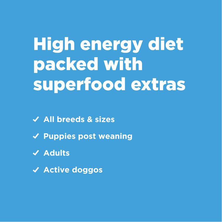 Kibble That Counts (8kg) - Lamb and Ancient Grains Flavour