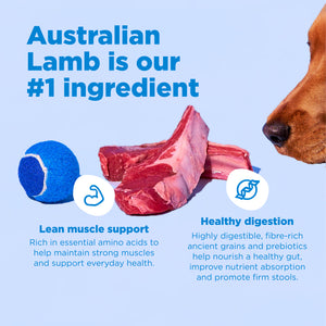 16kg of Kibble That Counts - Lamb and Ancient Grains
