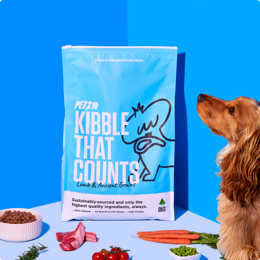 Dog sitting next to Kibble That Counts (Lamb & Ancient Grains Flavour)