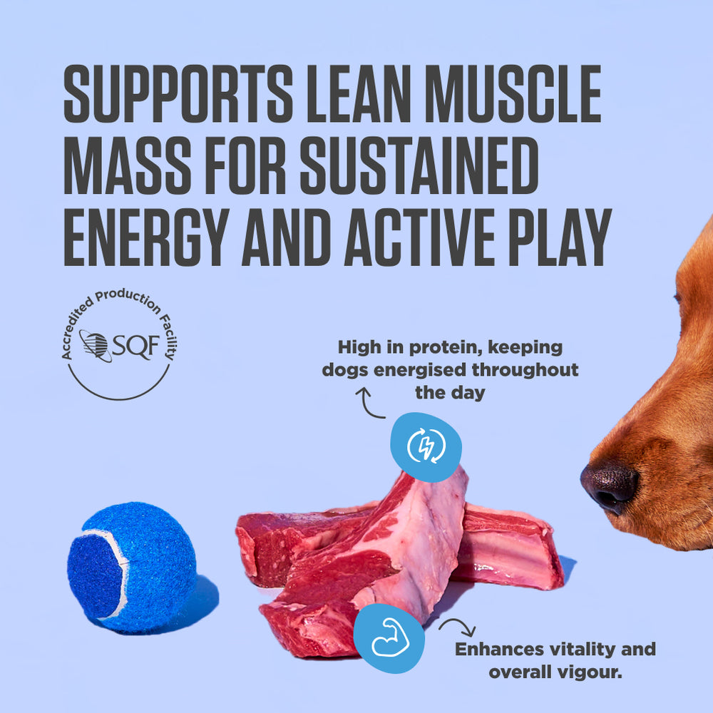 Benefits of Kibble That Counts - Lamb and Ancient Grains Flavour