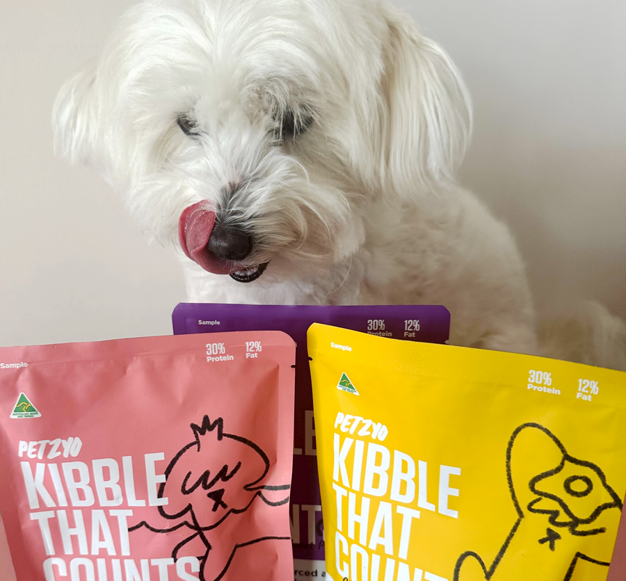 Dog  excited to try out three flavors of Kibble That Counts