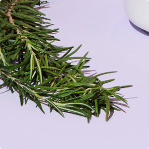 Rosemary