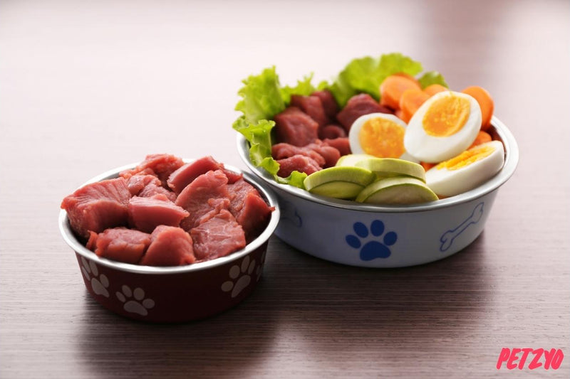 Two bowls of pet food with meat, vegetables, and eggs on a wooden surface