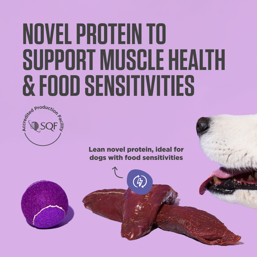 A close-up image showing a dog’s nose with a piece of lean meat and SQF certification logo.