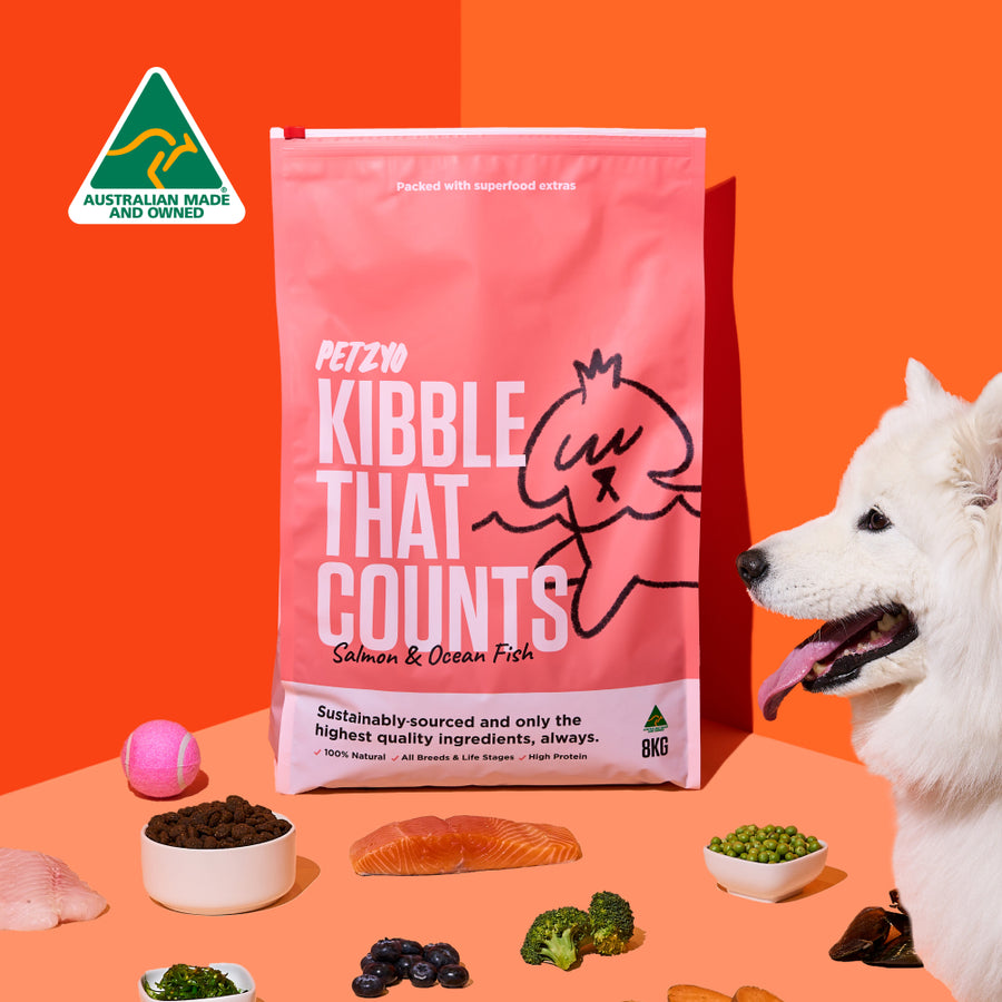 A bag of Kibble That Counts (Salmon & Ocean Fish flavor) with fresh ingredients is displayed next to a white dog.