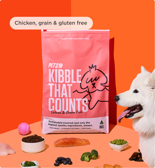 8kg of Kibble That Counts - Salmon and Ocean Fish with Green Lipped Mussels