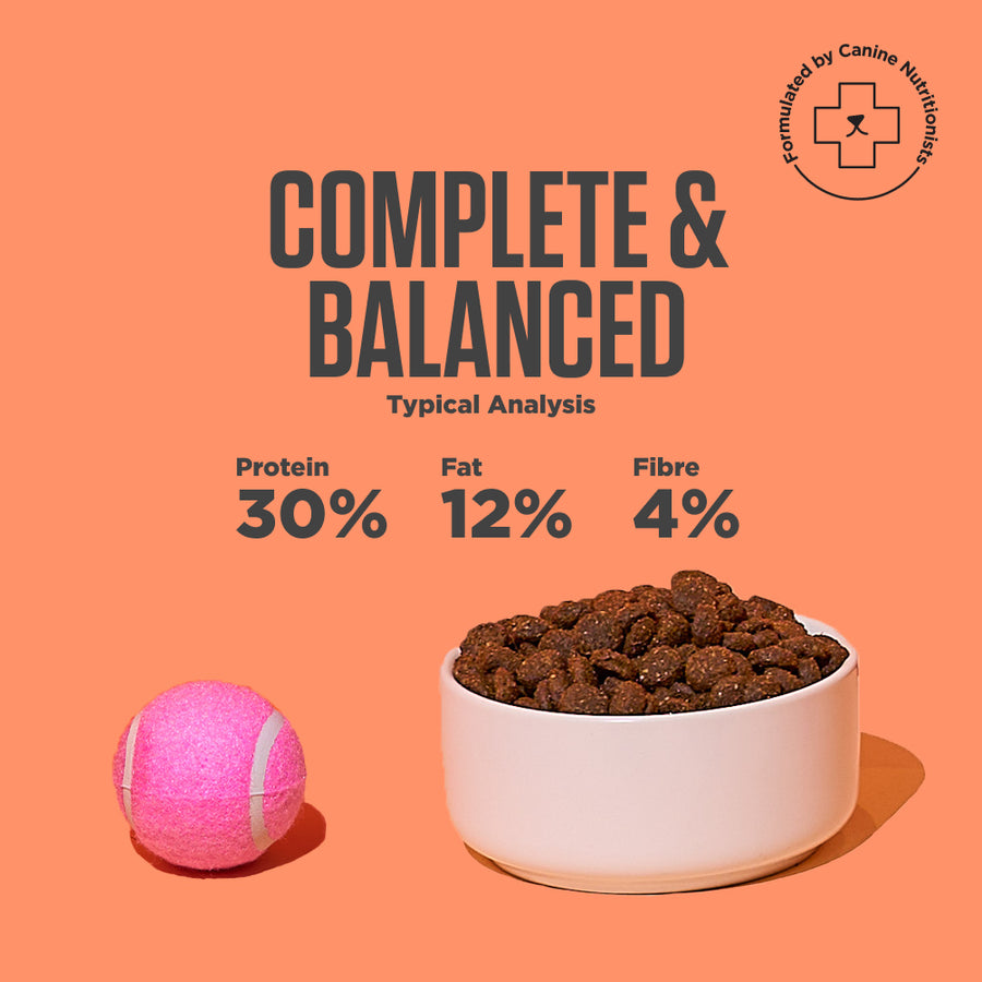 Nutritional breakdown of Kibble That Counts (Salmon & Ocean Fish flavor).