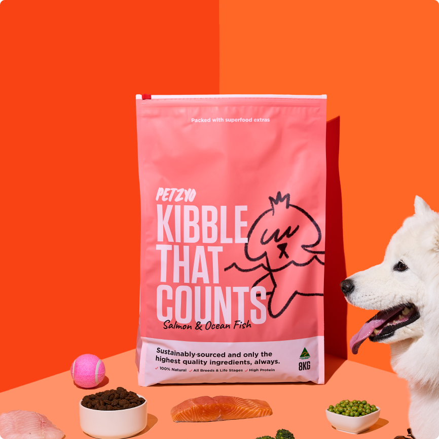 8kg Kibble That Counts - Salmon, Ocean Fish & Mussels | Petzyo