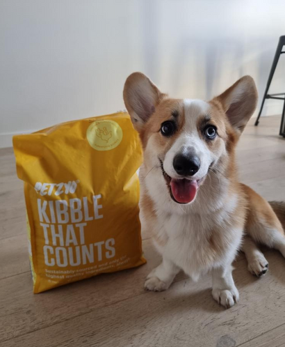 Dog sitting next to chicken flavored dry dog food from Petzyo