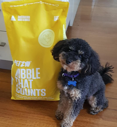 Dog sitting next to chicken flavored dry dog food from Petzyo