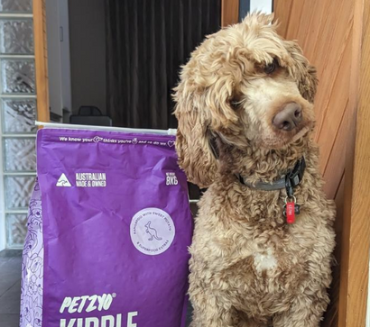 Dog next to a bag of kibble with curious expression