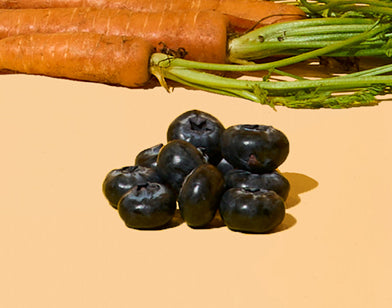 Blueberries as an ingredients in dog food