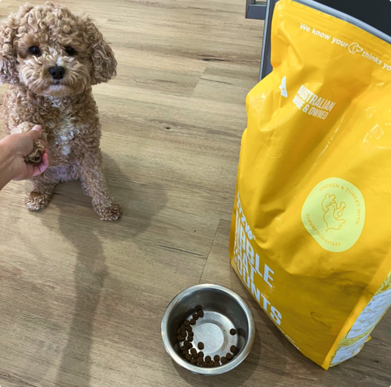 8kg Kibble That Counts Chicken, Turkey & Superfood Extras Petzyo