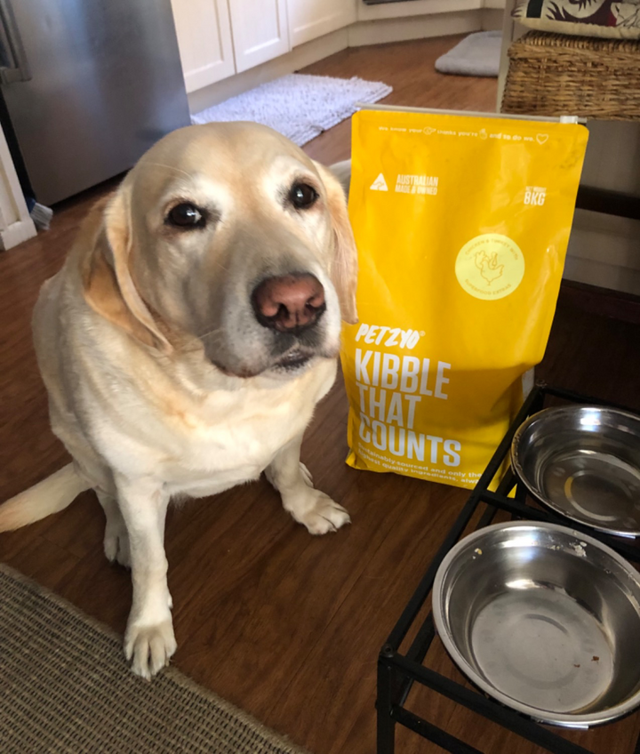 Premium Dog Food in Australia Fresh, Healthy & Nutritious Petzyo