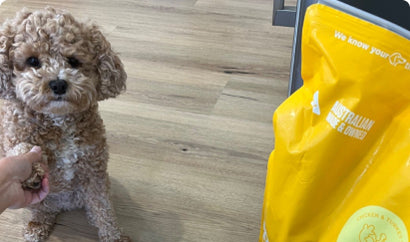 Dog sitting next to chicken flavored dry dog food from Petzyo