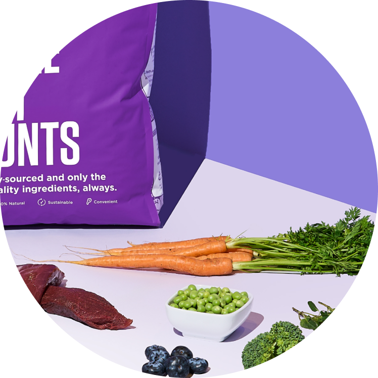 Organic ingredients, such as peas, carrots, blueberries, sweet potato, meat, etc used to make premium dog food