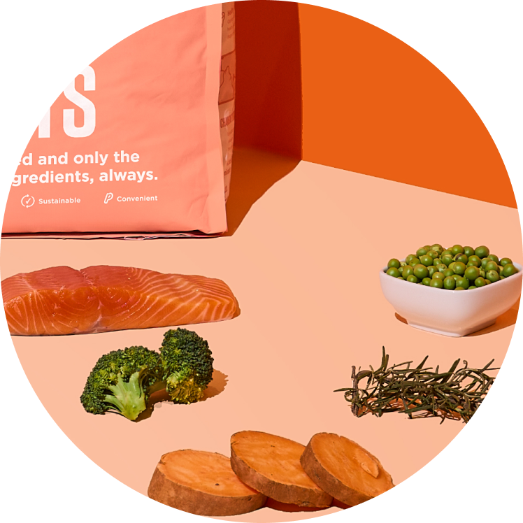 Ingredients of Kibble That Counts (Salmon & fish flavor)