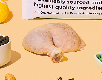 Raw chicken leg for dog