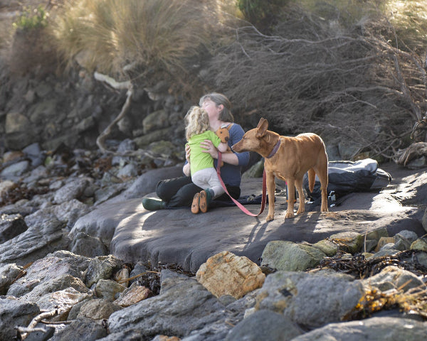 A red kelpie and his family near the creek