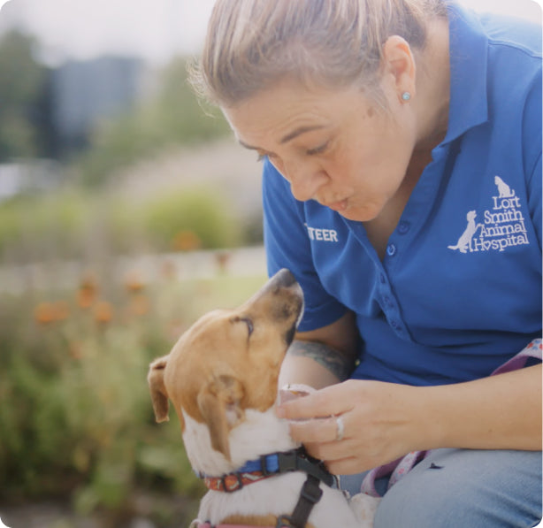 Women from Lort Smith Animal Hospital playing with a puppy