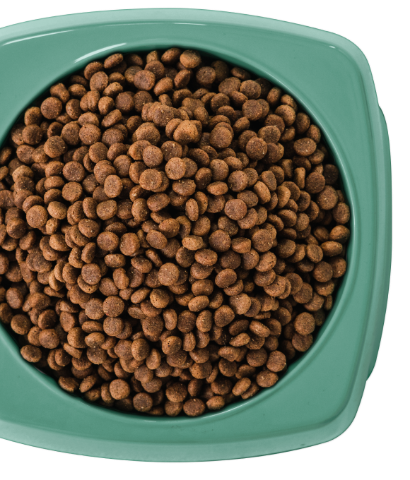 8kg of Kibble That Counts - Eco-Woofer BSFL and Superfood Extras