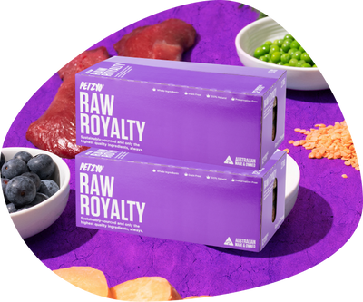 Two box of Roo's clues, a raw dog food