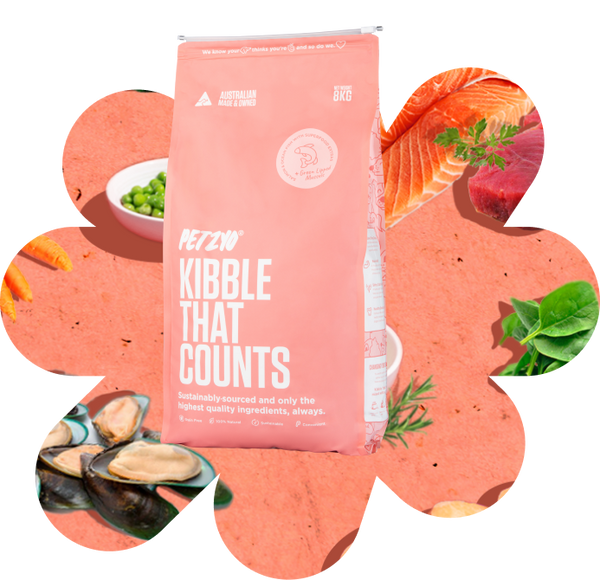 Our Range of Premium Dog Food Petzyo