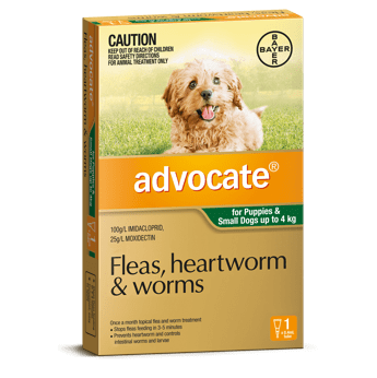 Advocate Treatment for Small Dogs 0-4Kg 1's (Green) - Petzyo
