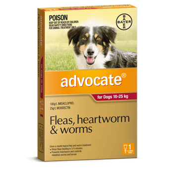 Advocate Treatment for Dogs Large 10-25Kg 1's (Red) - Petzyo